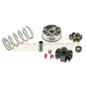 Variador Multivar Malossi Kymco 4T Agility/SYM Orbit 50 4T - 1008019