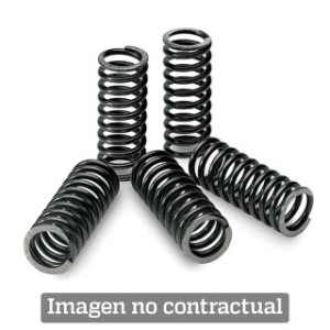 Kit de Muelles de Embrague Kawasaki - 1008668 -  Motoshop